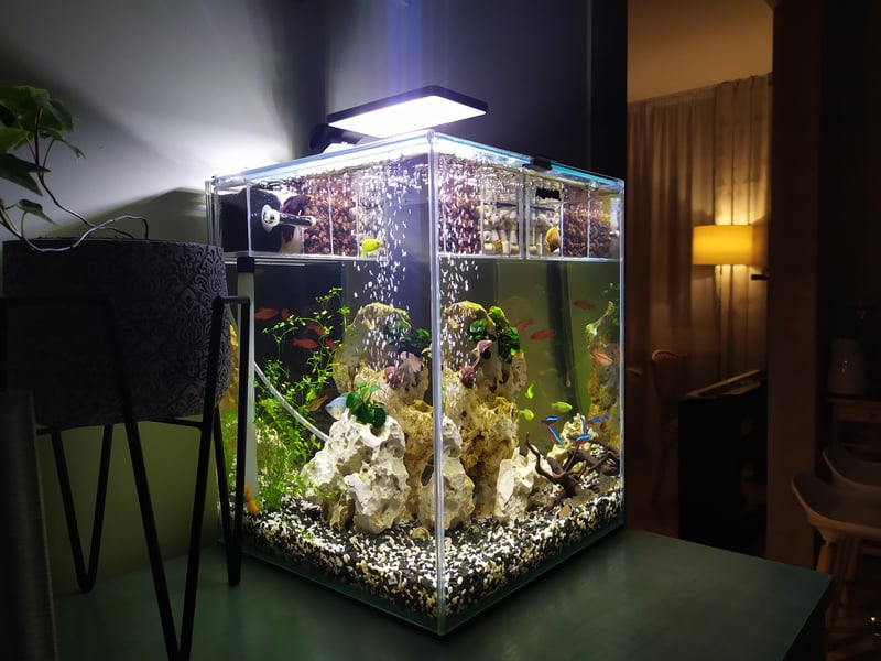 Nano Aquarium