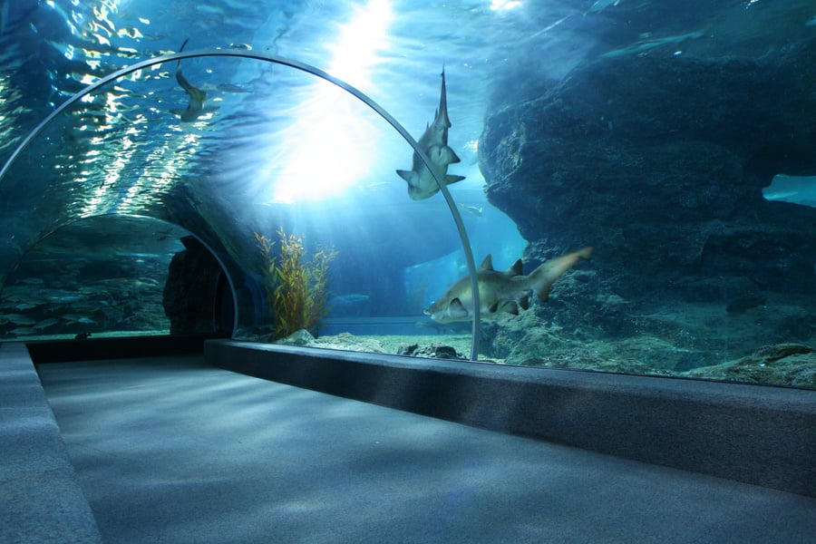 Aquarium