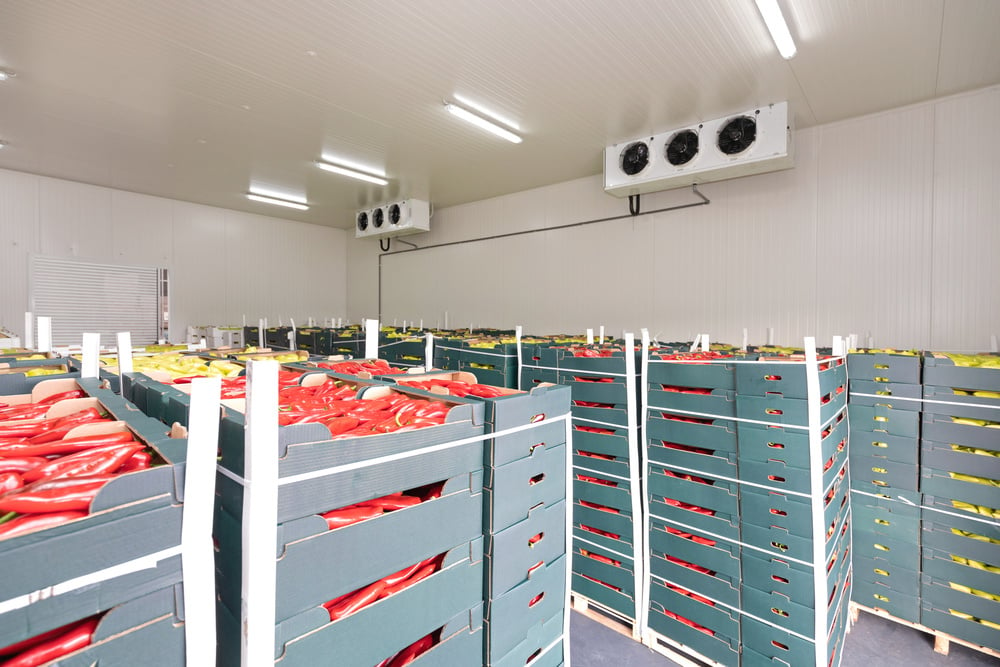 Red Peppers Cold Storage